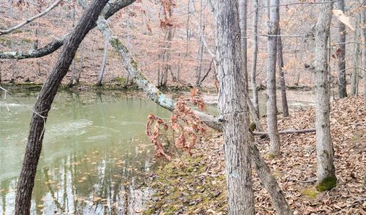 20250123_151830 (Large)