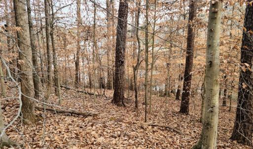 20250123_151629 (Large)