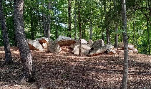 rock garden 2024-09-12
