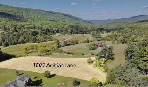 Arabian Ln