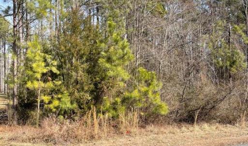 Photo #3 of WINCHESTER TRAIL, MINERAL, VA 5.1 acres
