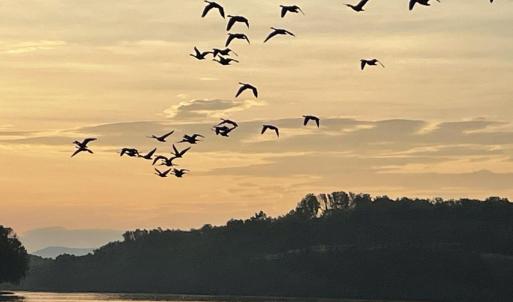 stillwater pic