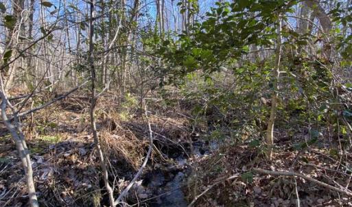 Photo #12 of FIREHOUSE DR, LOUISA, VA 5.0 acres