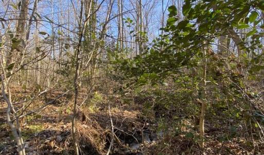 Photo #11 of FIREHOUSE DR, LOUISA, VA 5.0 acres