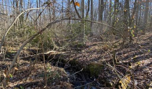 Photo #13 of FIREHOUSE DR, LOUISA, VA 5.0 acres