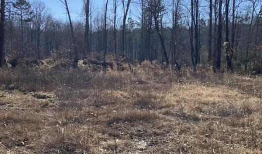Photo #8 of FIREHOUSE DR, LOUISA, VA 5.0 acres