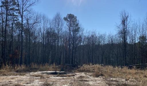 Photo #6 of FIREHOUSE DR, LOUISA, VA 5.0 acres