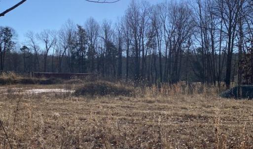 Photo #7 of FIREHOUSE DR, LOUISA, VA 5.0 acres