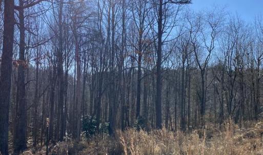 Photo #5 of FIREHOUSE DR, LOUISA, VA 5.0 acres