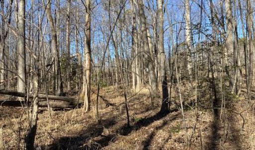 Photo #10 of FIREHOUSE DR, LOUISA, VA 5.0 acres