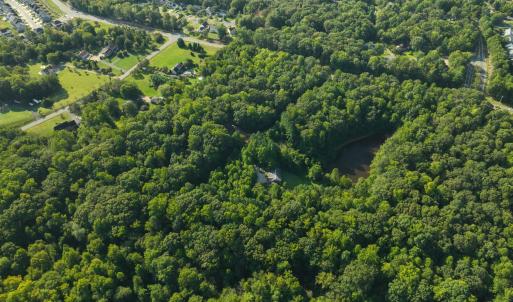 Photo #11 of 5731 HARRISON RD, FREDERICKSBURG, VA 16.0 acres