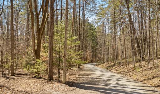 Lot 2 Winding Timber LN