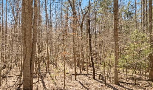 Lot 2 Winding Timber LN