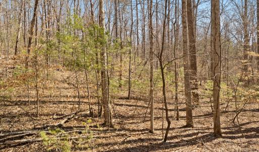 Lot 2 Winding Timber LN