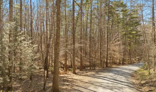 Lot 2 Winding Timber LN