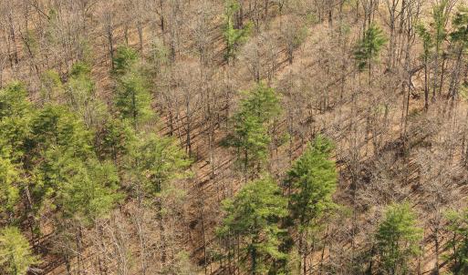 Lot 2 Winding Timber LN