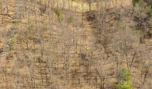 Lot 2 Winding Timber LN