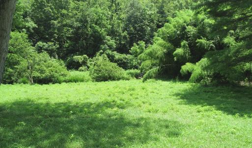 Photo_1