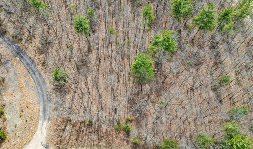 03-DJI_20250328142759_0215