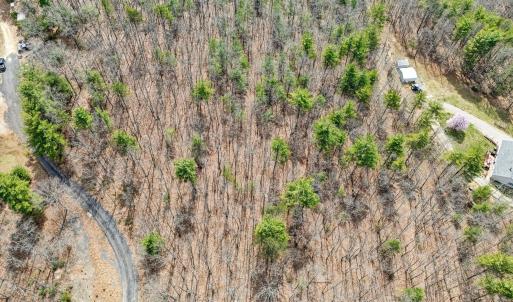 04-DJI_20250328142813_0218