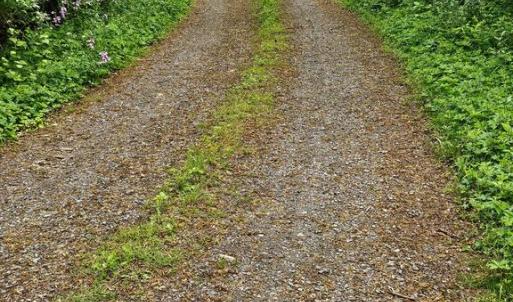 Photo #4 of BEYLORS FERRY, RILEYVILLE, VA 4.9 acres