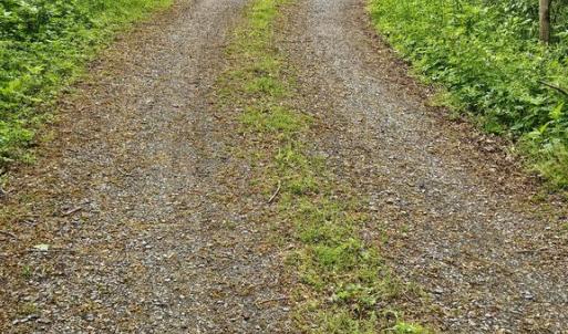 Photo #16 of BEYLORS FERRY, RILEYVILLE, VA 4.9 acres