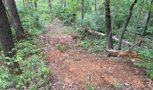 Photo #8 of BEYLORS FERRY, RILEYVILLE, VA 4.9 acres