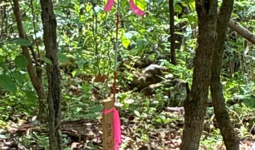 Photo #9 of BEYLORS FERRY, RILEYVILLE, VA 4.9 acres