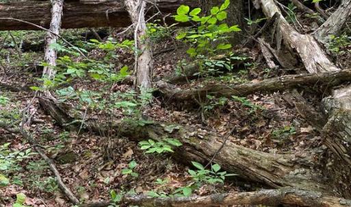 Photo #11 of BEYLORS FERRY, RILEYVILLE, VA 4.9 acres