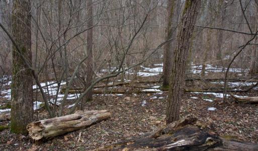 Photo #22 of BEYLORS FERRY, RILEYVILLE, VA 4.9 acres