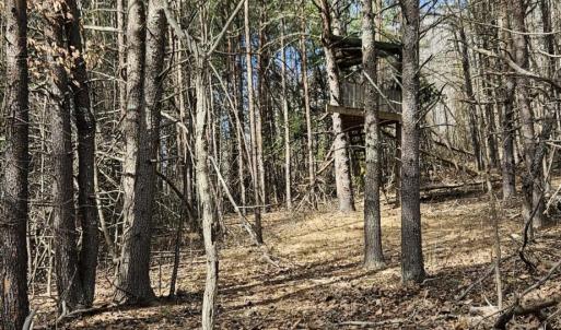 Resized_20250309_151711_1741554004308