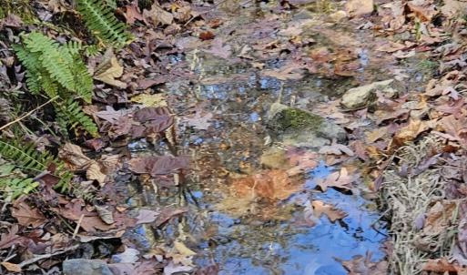 Resized_20241103_115903_1741554036831