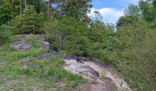Photo #4 of REVA, REVA, VA 3.1 acres