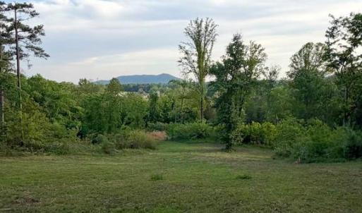 Photo #1 of REVA, REVA, VA 3.1 acres