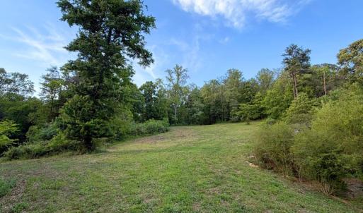 Photo #6 of REVA, REVA, VA 3.1 acres