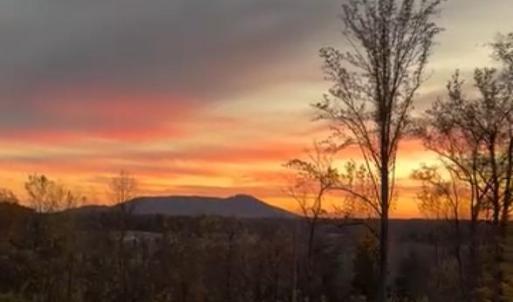 Photo #3 of REVA, REVA, VA 3.1 acres