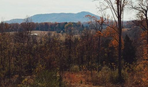 Photo #2 of REVA, REVA, VA 3.1 acres