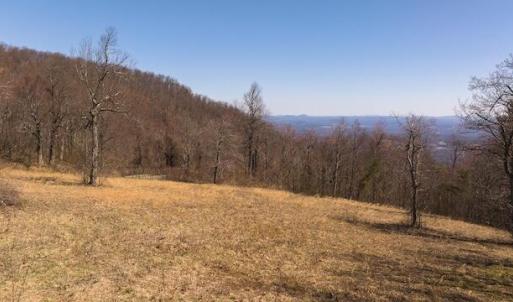 DJI_20250327121635_0746_D