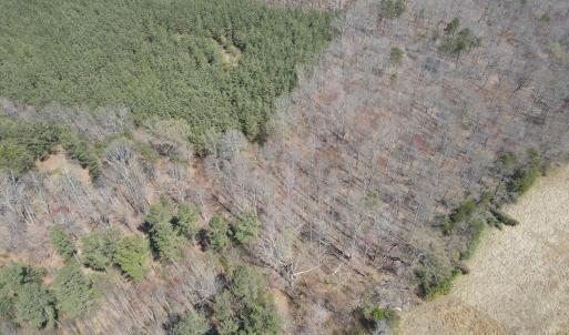 DJI_0389