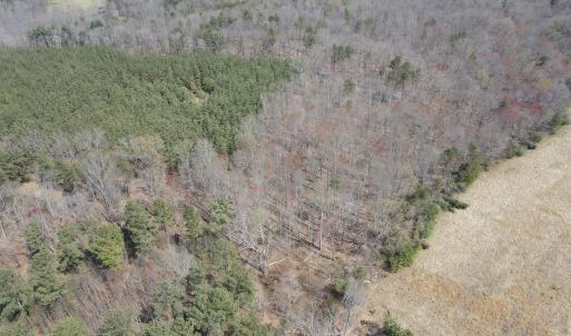 DJI_0387