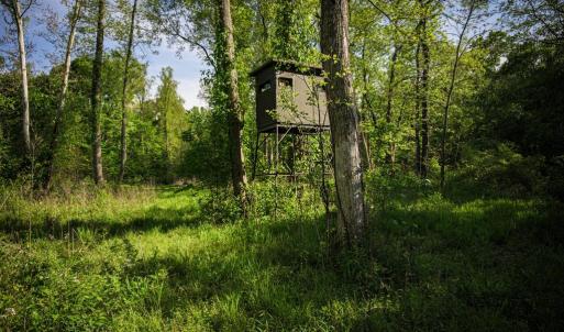 Photo #18 of HARTS MILL RD, MINERAL, VA 25.0 acres