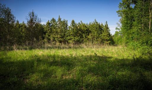 Photo #25 of HARTS MILL RD, MINERAL, VA 25.0 acres
