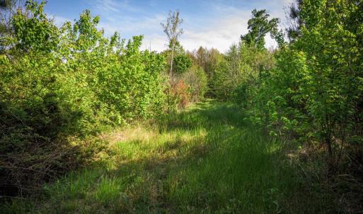 Photo #31 of HARTS MILL RD, MINERAL, VA 25.0 acres