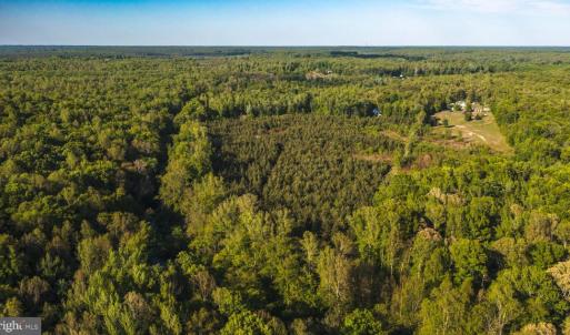 Photo #6 of HARTS MILL RD, MINERAL, VA 25.0 acres