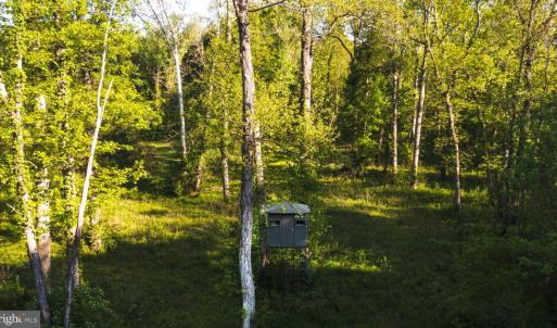Photo #3 of HARTS MILL RD, MINERAL, VA 25.0 acres