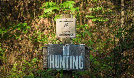 Photo #34 of HARTS MILL RD, MINERAL, VA 25.0 acres