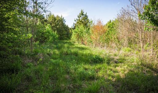 Photo #30 of HARTS MILL RD, MINERAL, VA 25.0 acres