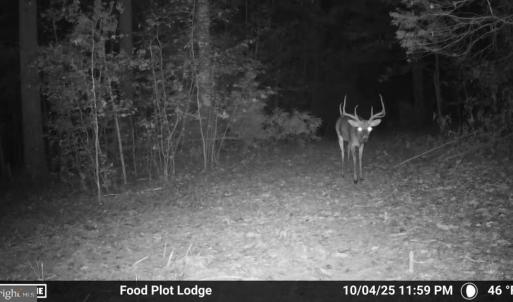 Photo #48 of HARTS MILL RD, MINERAL, VA 25.0 acres