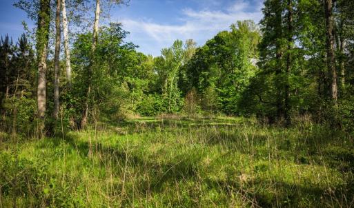Photo #22 of HARTS MILL RD, MINERAL, VA 25.0 acres