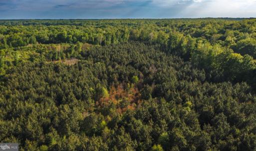 Photo #38 of HARTS MILL RD, MINERAL, VA 25.0 acres